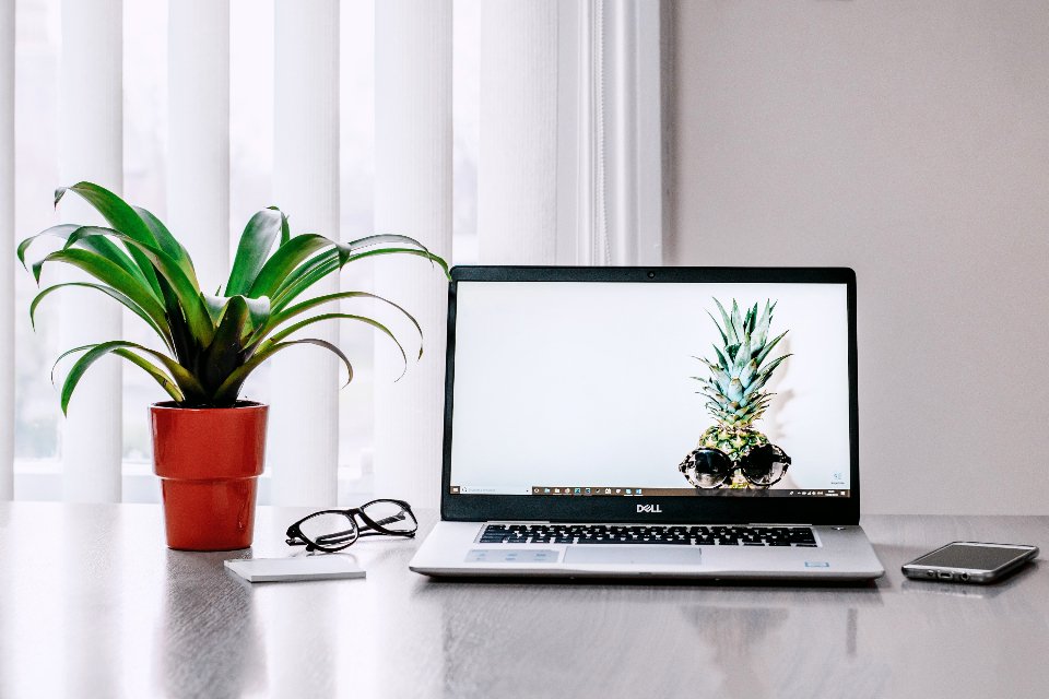 Escritorio de trabajo con portátil, planta y móvil
